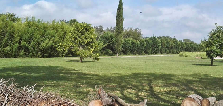 Villa Elena Oliveros