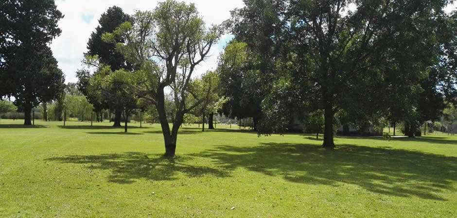 Villa Elena Oliveros